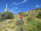 photo thumbnail #5