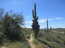 photo thumbnail #7