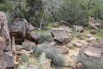 photo thumbnail #2