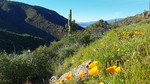 photo thumbnail #8