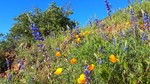photo thumbnail #9
