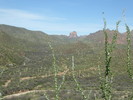 photo thumbnail #5