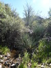 photo thumbnail #11