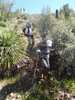 photo thumbnail #12