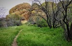 photo thumbnail #6