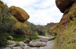 photo thumbnail #7