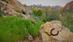 photo thumbnail #8