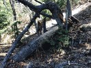 photo thumbnail #9