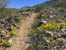photo thumbnail #1