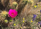 photo thumbnail #5