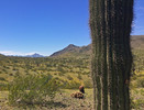 photo thumbnail #7