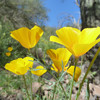 photo thumbnail #5