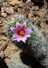 photo thumbnail #7