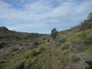 photo thumbnail #1
