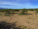 photo thumbnail #8
