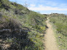 photo thumbnail #1