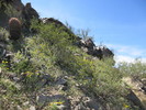 photo thumbnail #2