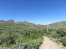 photo thumbnail #4