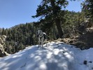 photo thumbnail #3