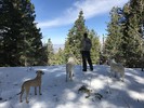 photo thumbnail #15
