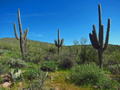 photo thumbnail #5