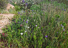 photo thumbnail #9