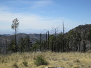 recent photo