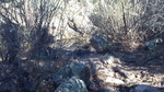 photo thumbnail #15