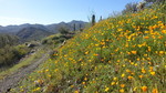 photo thumbnail #12