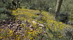 photo thumbnail #14