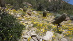 photo thumbnail #15