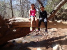 photo thumbnail #6
