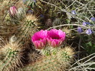 photo thumbnail #4