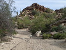photo thumbnail #6