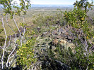photo thumbnail #8
