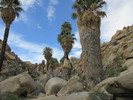 photo thumbnail #4