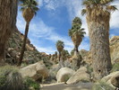 photo thumbnail #5