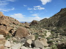 photo thumbnail #7