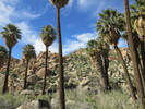 photo thumbnail #8