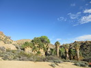 photo thumbnail #10