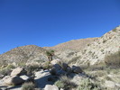 photo thumbnail #2