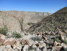 photo thumbnail #6