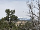 photo thumbnail #9