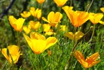photo thumbnail #11