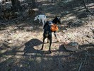 photo thumbnail #1