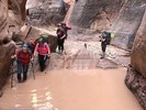 photo thumbnail #12