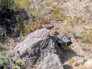 photo thumbnail #1