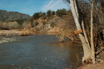 photo thumbnail #5