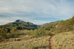 photo thumbnail #2