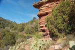 photo thumbnail #4